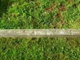 image of grave number 137786